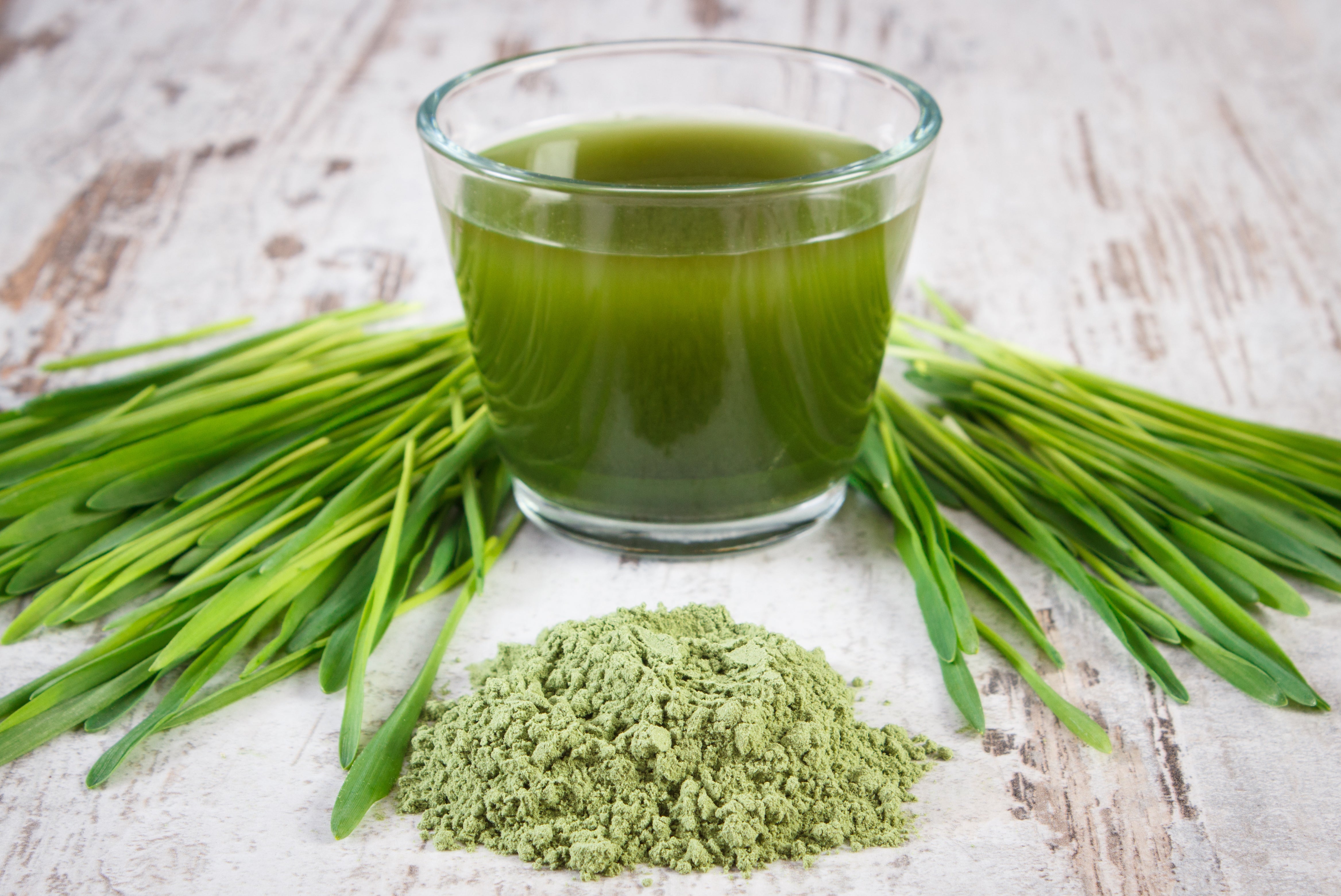 Unlocking the Power of Vitafit Barley Grass - The Best Organic Food Supplement