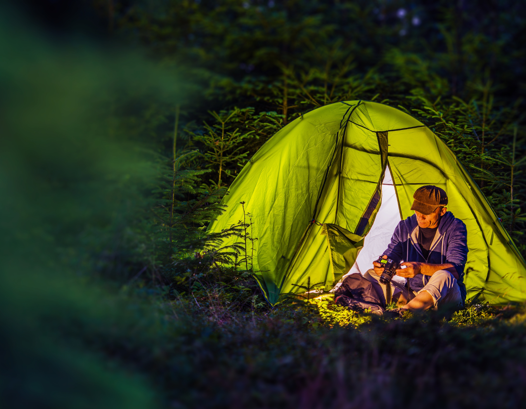 Breathe Deep and De-Stress: The Forest's Natural Secret for Your Well-being